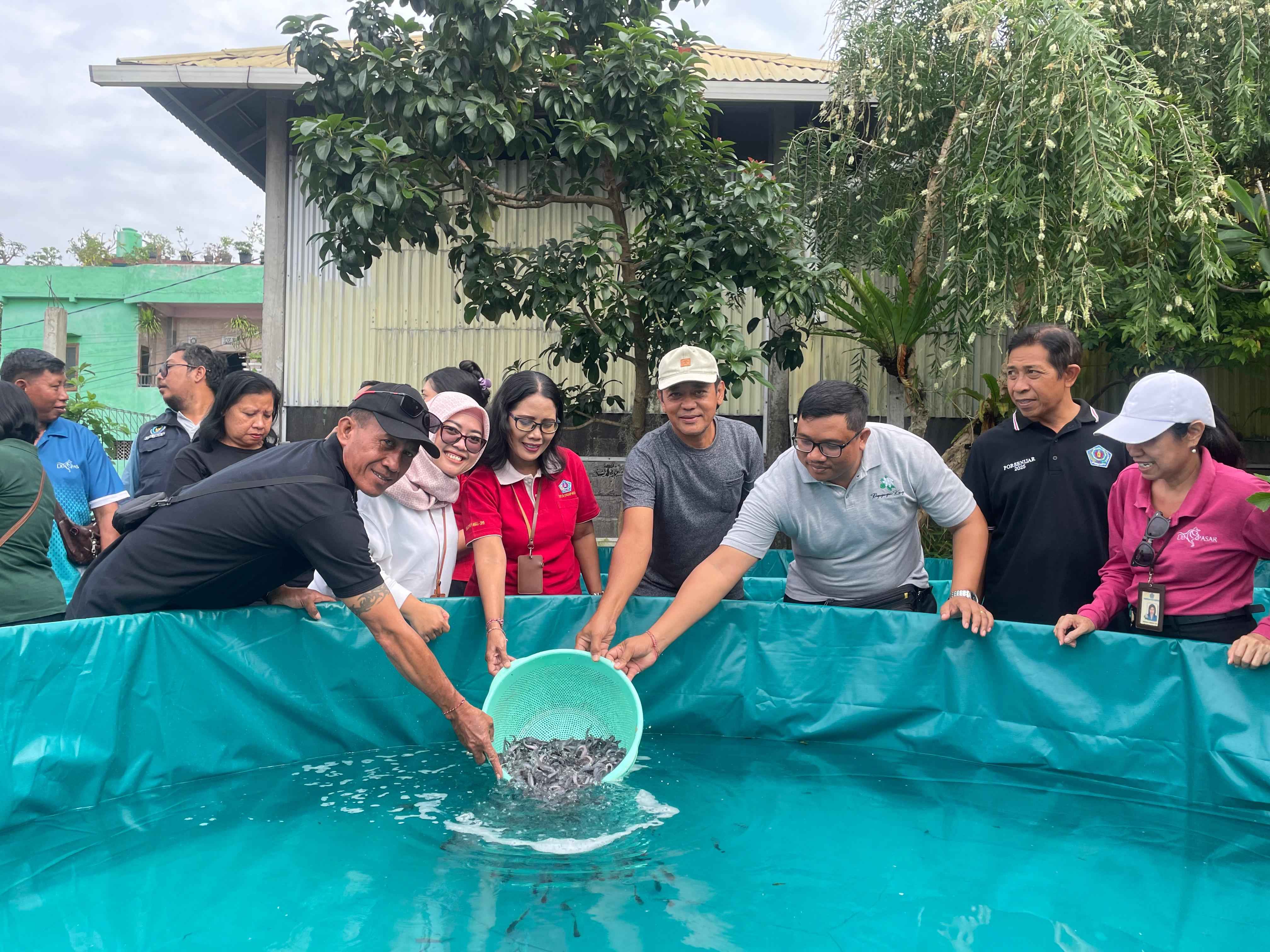 DINAS PERIKANAN KOTA DENPASAR SEBAR BIBIT LELE DI POKDAKAN MINA LUNGATAD DESA PEGUYANGAN KANGIN 