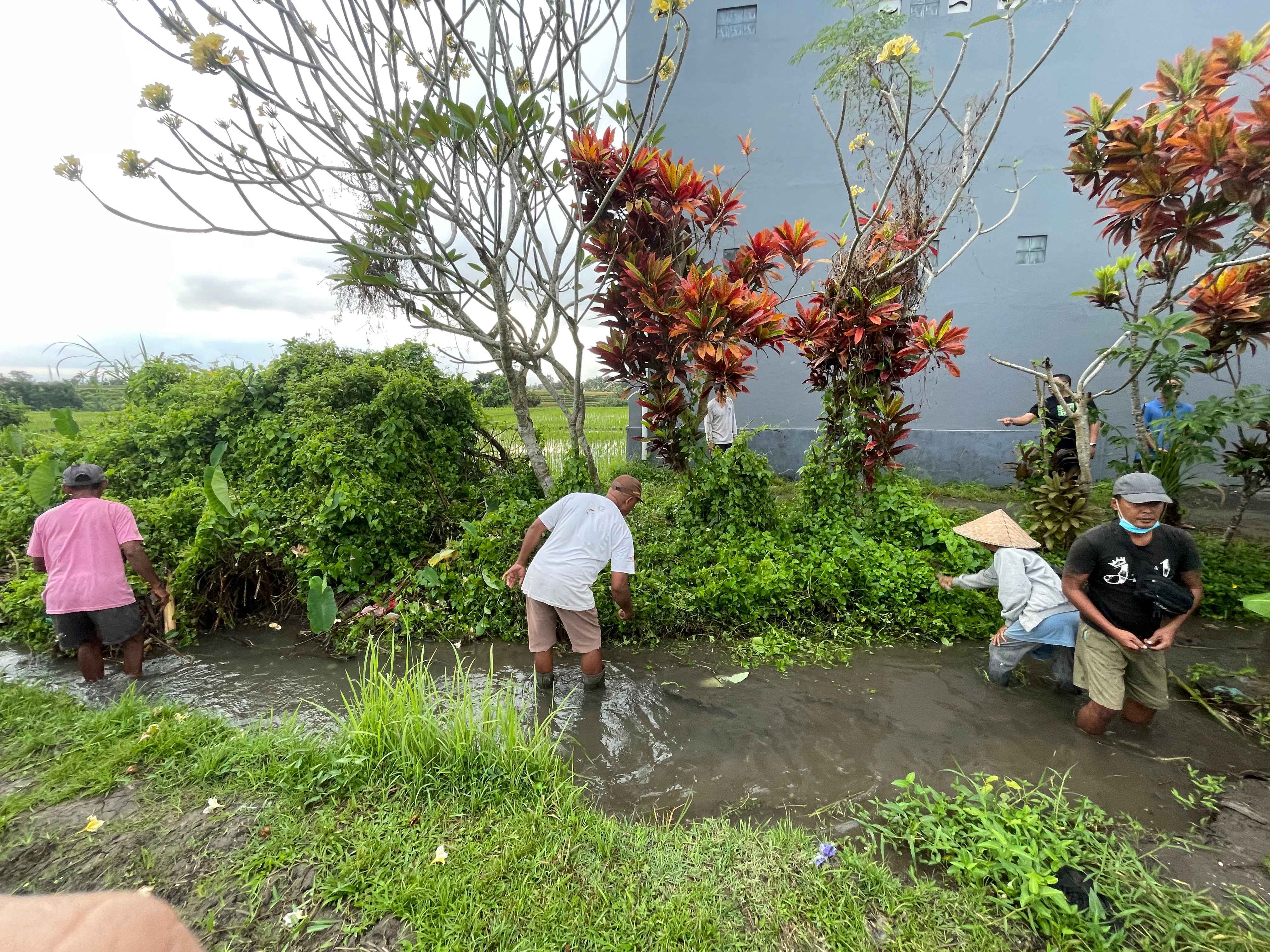 Pelaksanaan Kegiatan PKTD Pembersihan Awal Saluran Irigasi Munduk Kalangan Kangin Subak Kedua Banjar Cengkilung