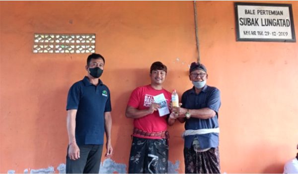 KBS Desa Peguyangan Kangin Sosialisasikan Sistem Pertanian Organik Komoditas Padi  di Subak Lungatad